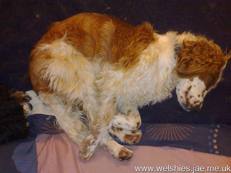 2010-09-26 02.jpg - zzzzzz....